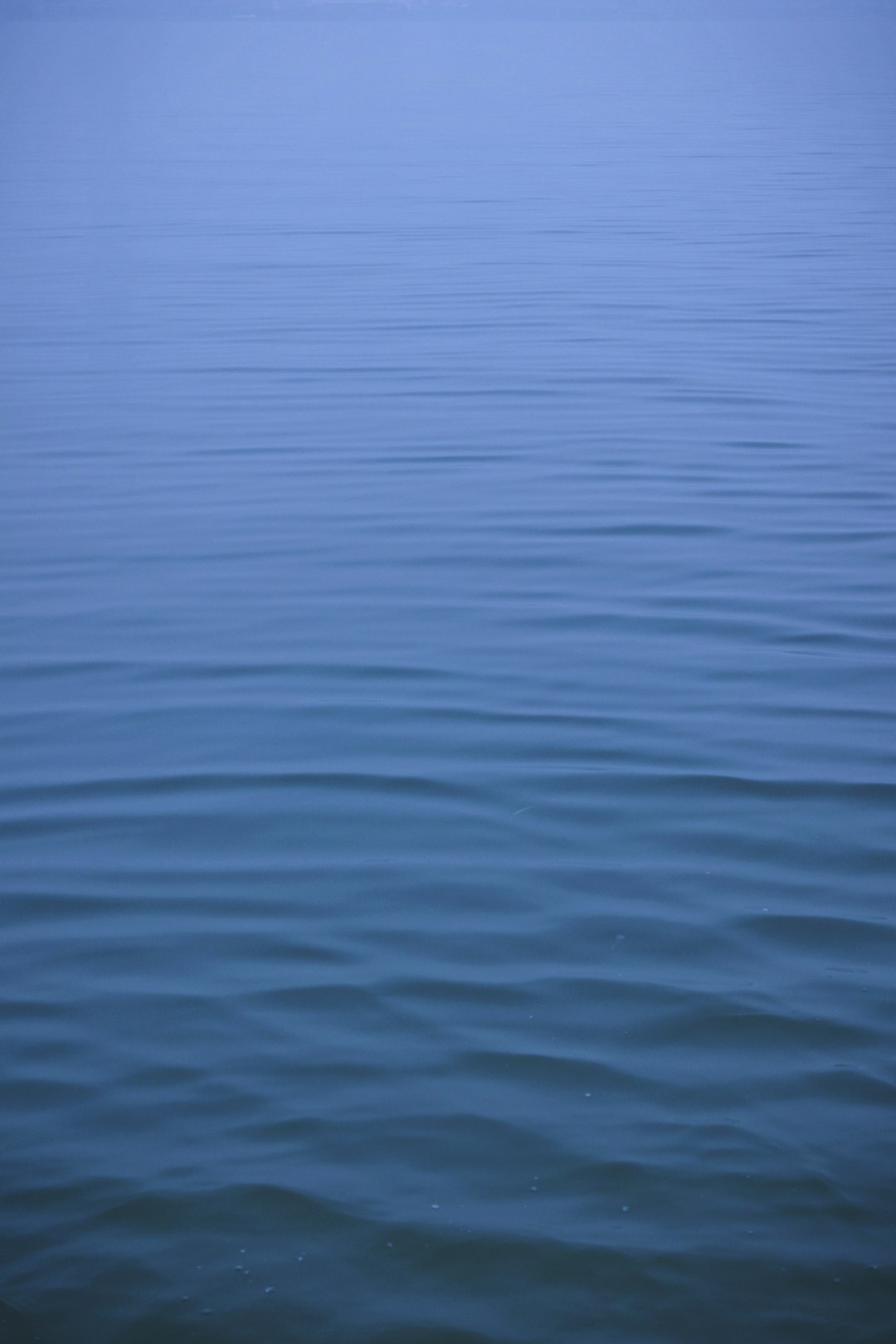 photo of body of water
