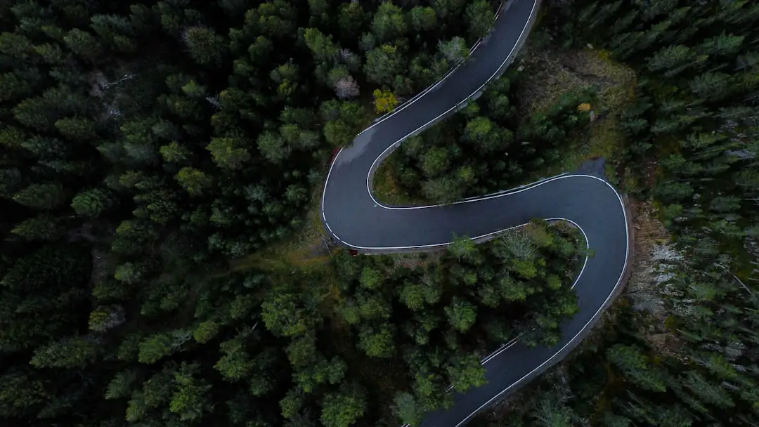 a winding road through a forest