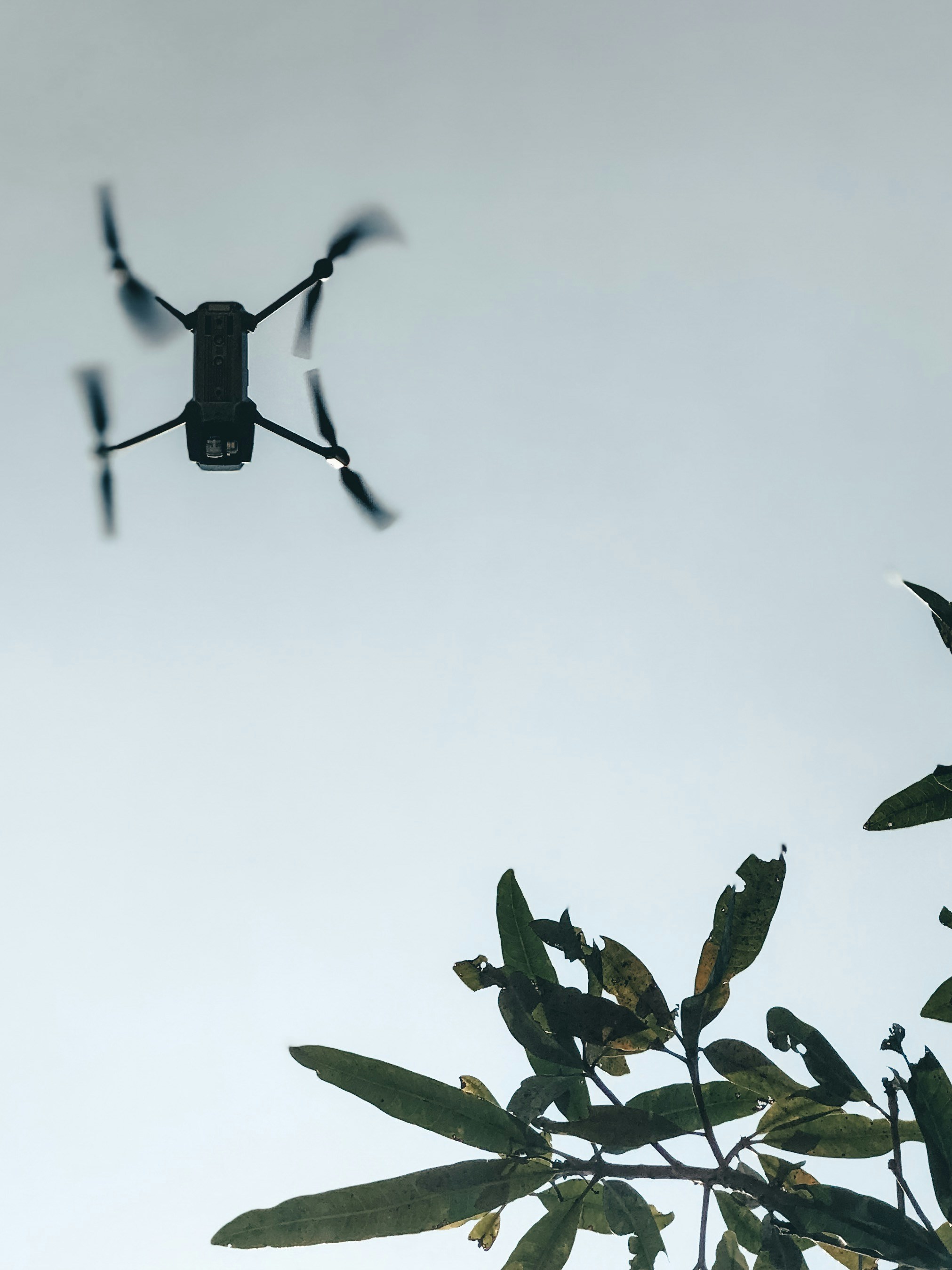 black quadcopter flying