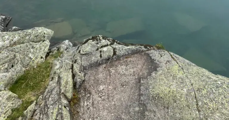 Featured image for 15 Drone Brands Revolutionizing Real-Time Data Processing 2025