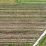 Featured image for Top 11 Agricultural Drone Brands for Precision Farming 2025