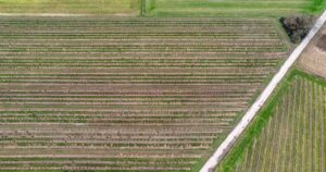 Featured image for Top 11 Agricultural Drone Brands for Precision Farming 2025