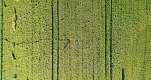 Featured image for Top 6 Drone Brands for Search and Rescue Operations 2025