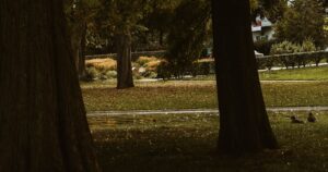 Featured image for How Many People Fly Drones Shocking Stats Insights 2026