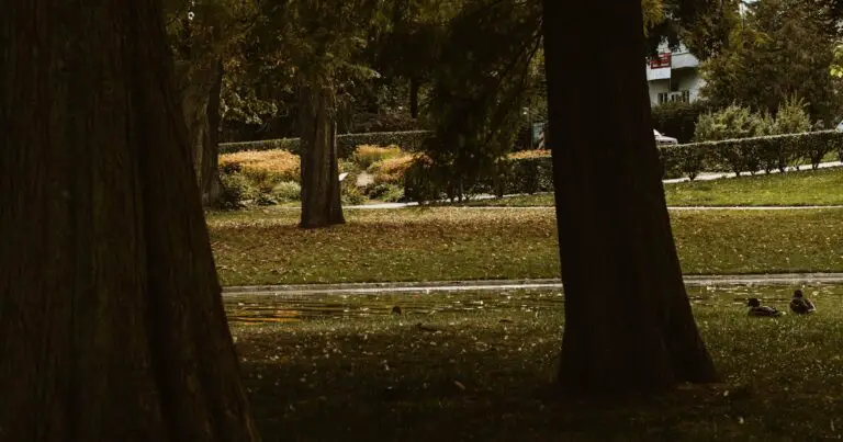 Featured image for How Many People Fly Drones Shocking Stats Insights 2026